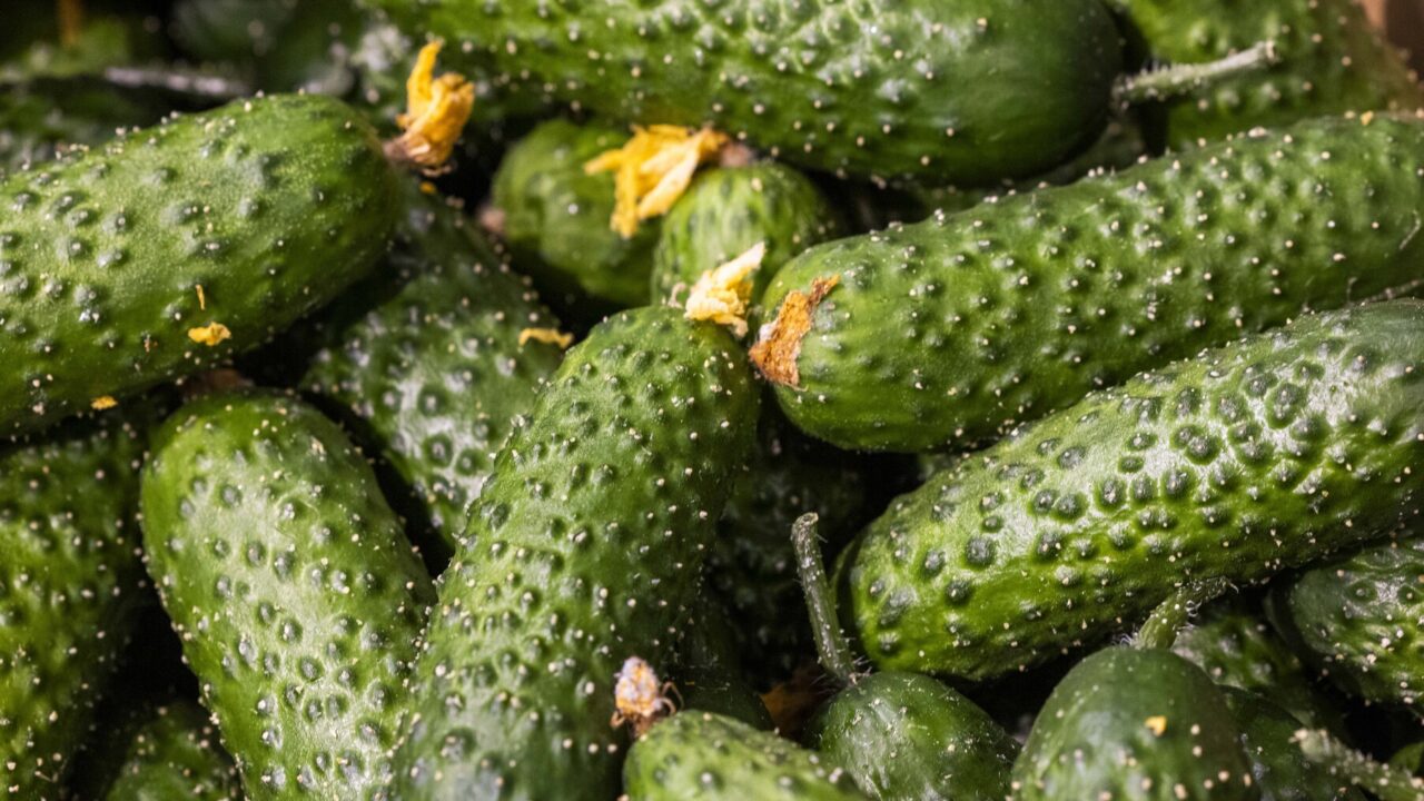 Kur pigiausiai kainuoja dažno vartojimo prekių krepšelis?