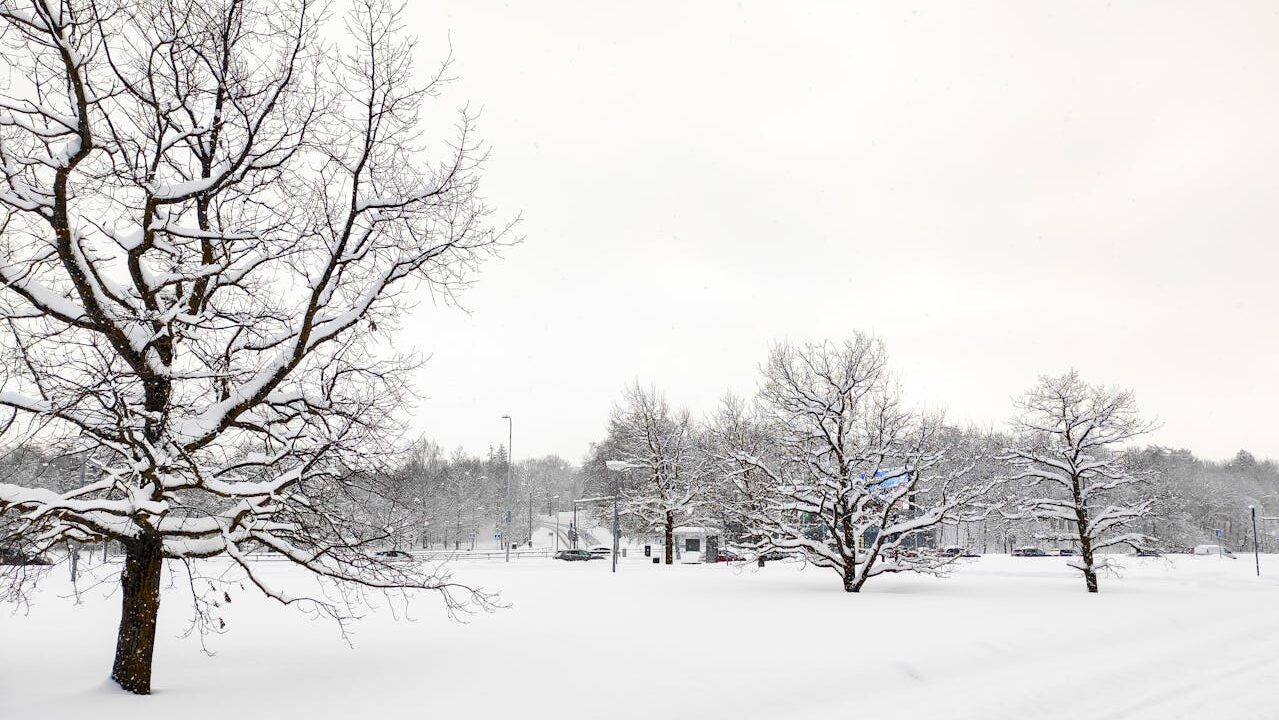 Lietuvą užklojęs sniegas sukėlė rimtų padarinių: draudikai įvardija labiausiai nukentėjusius miestus ir rajonus