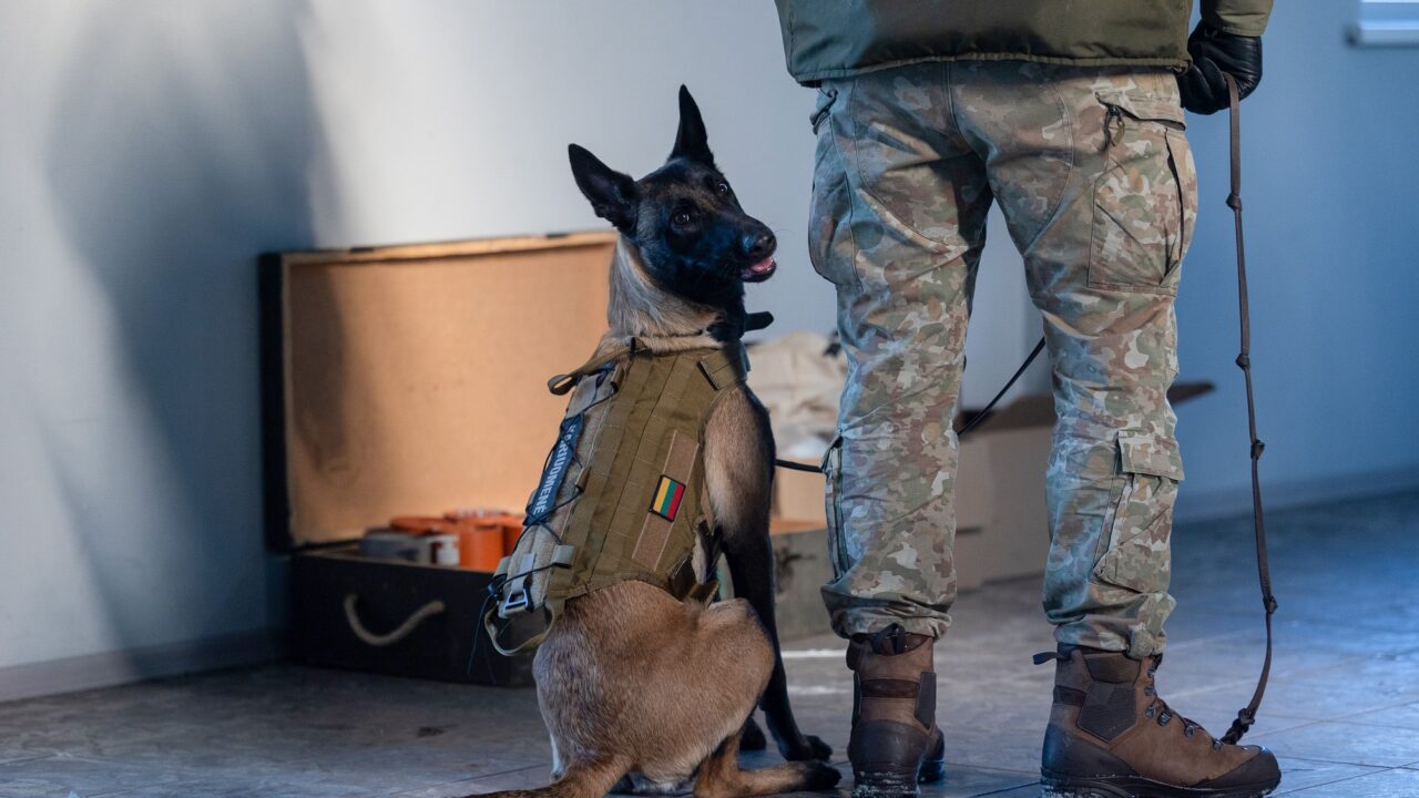 Kauno oro uoste vyko tarpinstituciniai tarnybinių šunų mokymai