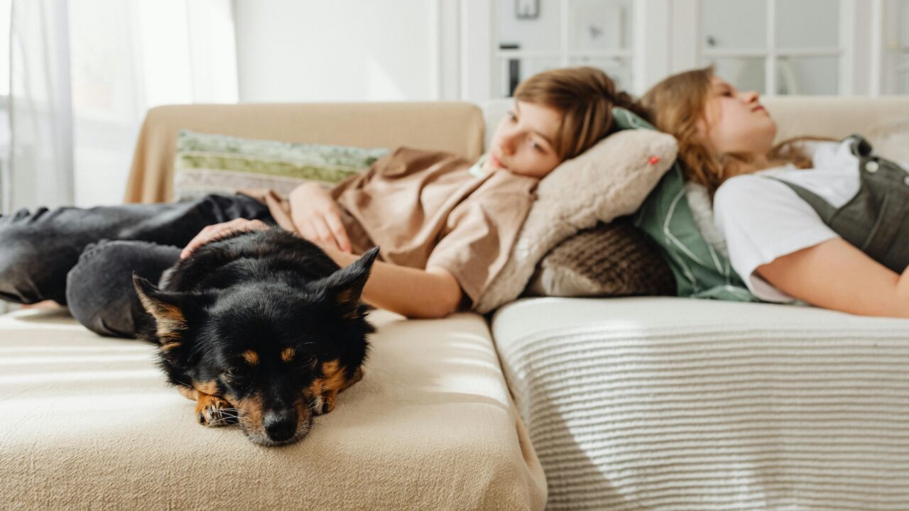 DI svarba namuose greitai prilygs elektrai: nauja „Samsung“ įrenginių tendencija CES 2026 parodoje