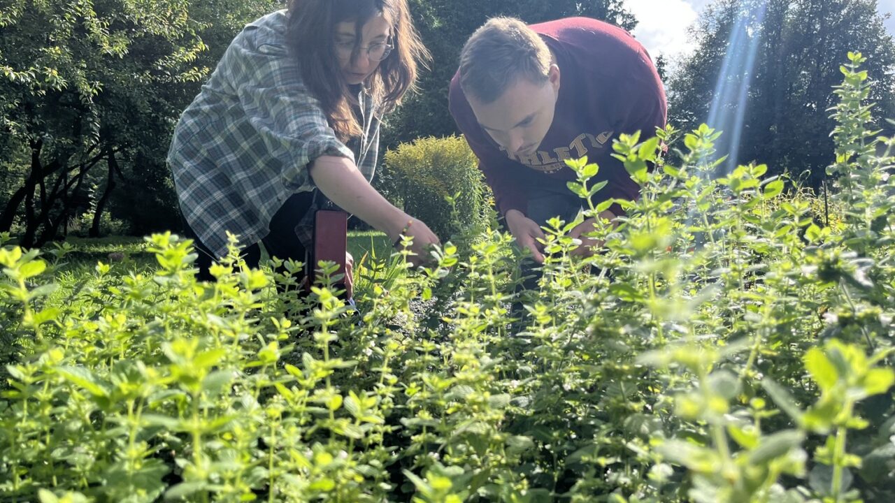 Žolelių projektas išaugo į arbatinę Vilniaus centre: dirbs žmonės su negalia
