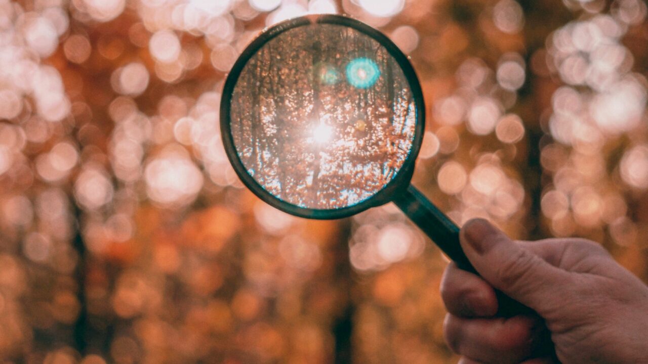 Tyrimai: nuo klimato krizės iš tikrųjų pavargo ne rinkėjai, o politinė sistema