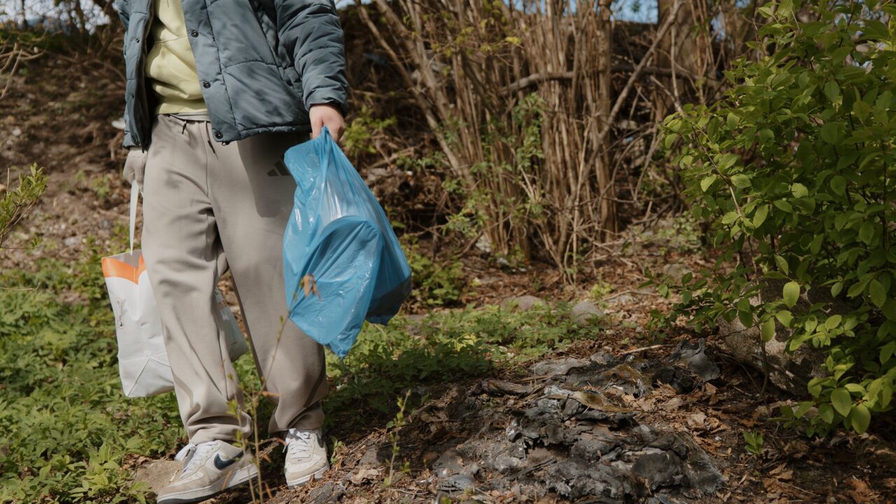 Viena naktis gamtoje, savaitės pasekmės: kokį pėdsaką palieka Joninės?